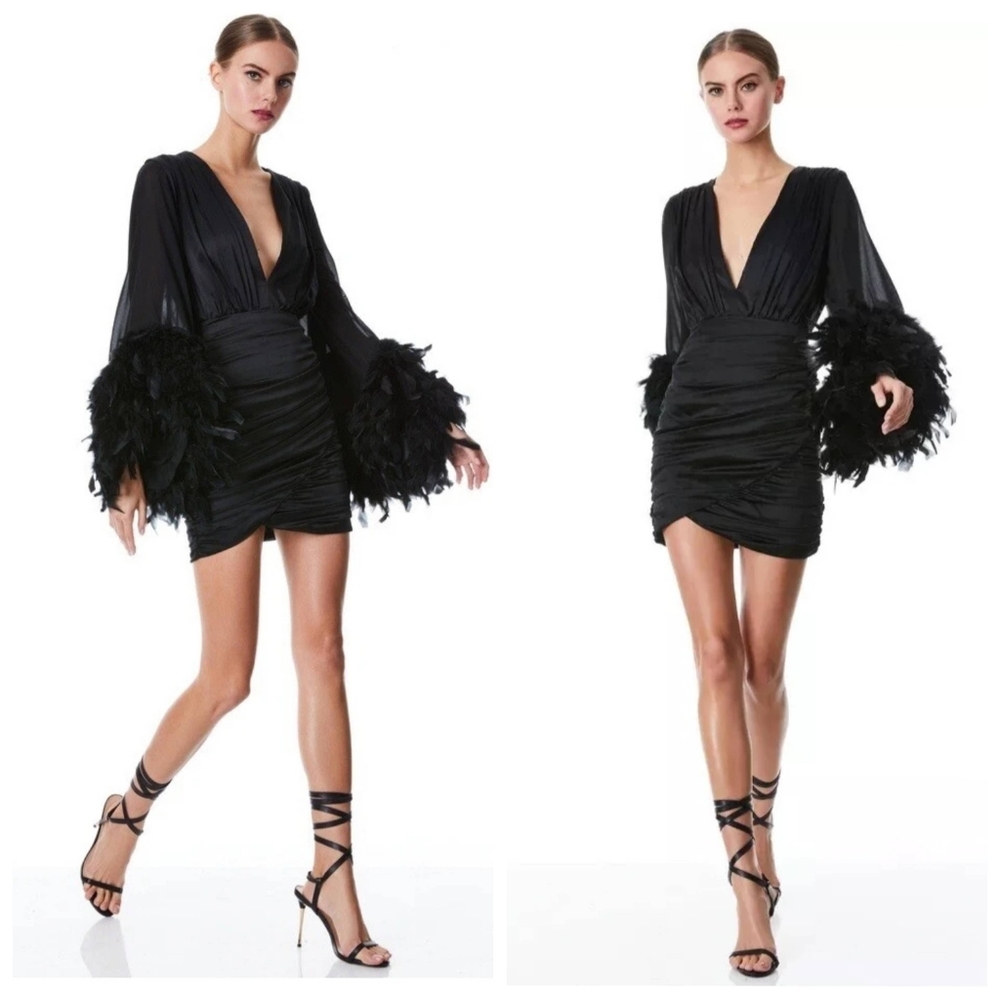 ALICE + OLIVIA JOETTE FEATHER TRIM SLEEVE MINI DRESS SIZE 2 NWT $895 - Picture 6 of 16